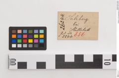 Etiketten zu Bronzegürtelblech (NHMW-PRAE-026244)